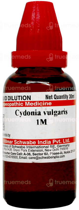 Dr Willmar Schwabe Cydonia Vulgaris 1M Dilution 30Ml